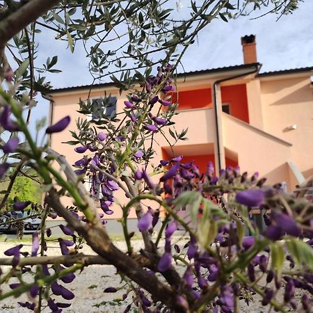 Apartman Tramonto Motovun Εξωτερικό φωτογραφία