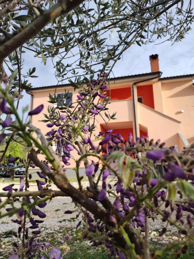 Apartman Tramonto Motovun Εξωτερικό φωτογραφία