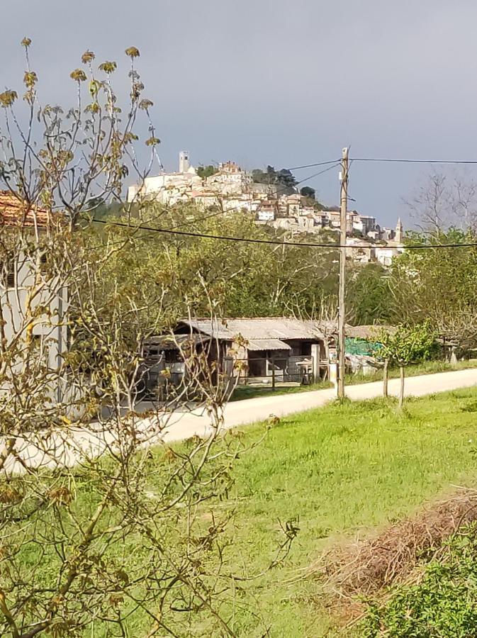 Apartman Tramonto Motovun Εξωτερικό φωτογραφία